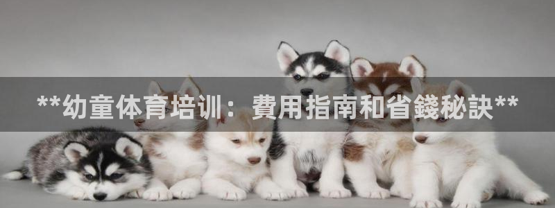 焦点娱乐平台怎么样可靠吗：**幼童体育培训：費用指南