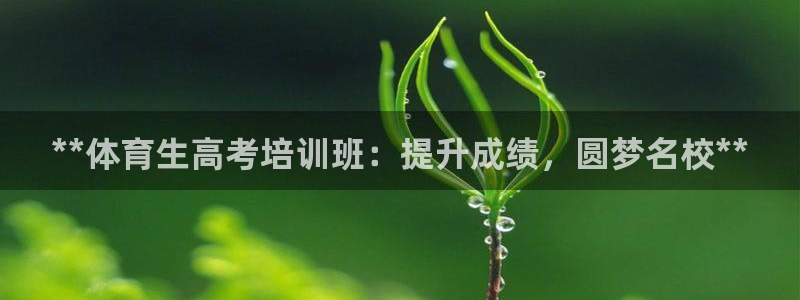焦点娱乐下载手机版官网：**体育生高考培训班：提升成绩，圆梦
