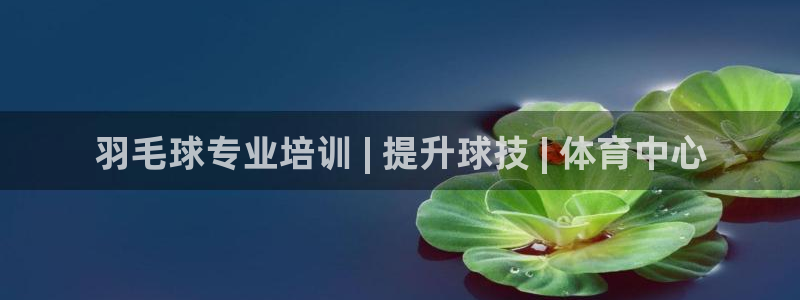 焦点娱乐平台：羽毛球专业培训 | 提升球技 | 体育