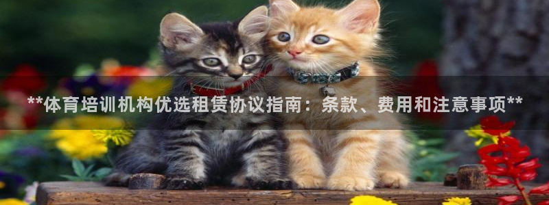 焦点平台娱乐：**体育培训机构优选租赁协议指南：条款