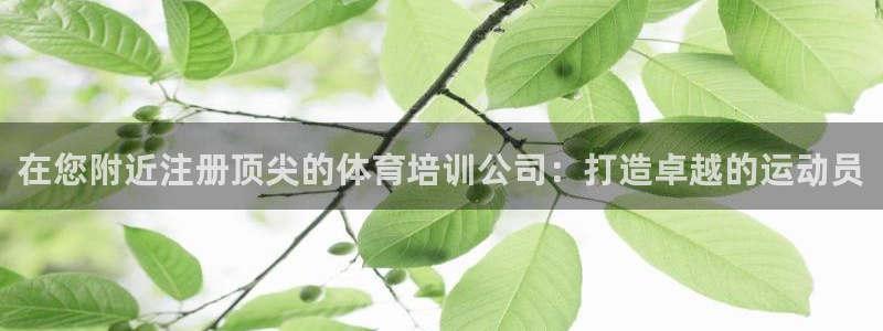 焦点娱乐网站下载地址：在您附近注册顶尖的体育培训公司