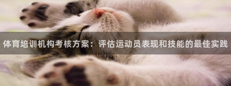 焦点娱乐公司的发展历程：体育培训机构考核方案：评估运