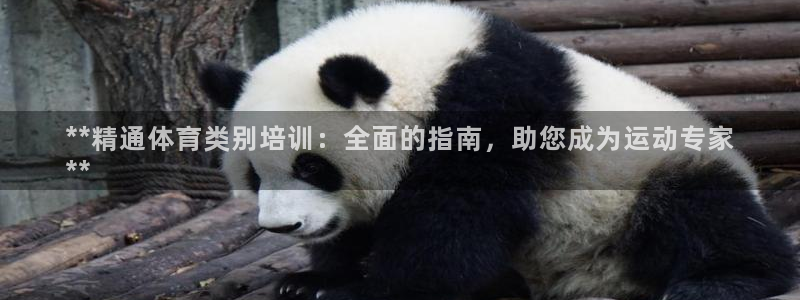 焦点娱乐平台候7O777：**精通体育类别培训：全面