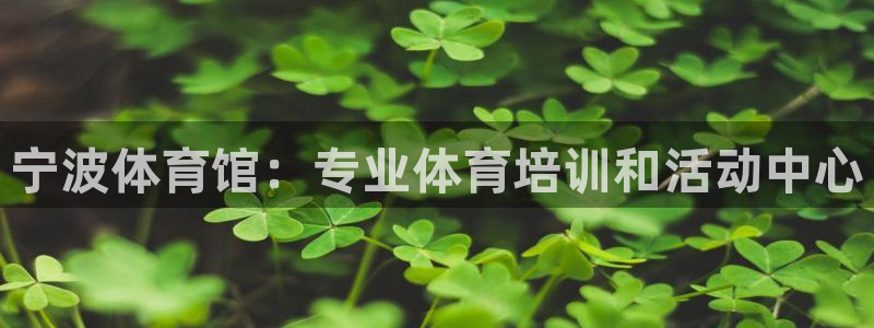 焦点娱乐平台注册账号是什么意思：宁波体育馆：专业体育