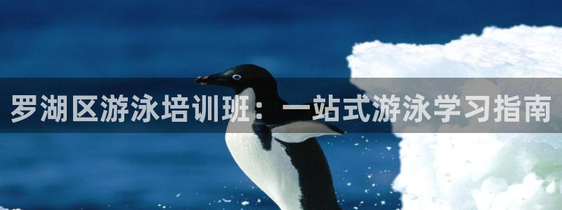 焦点娱乐app下载安装方式是什么：罗湖区游泳培训班：