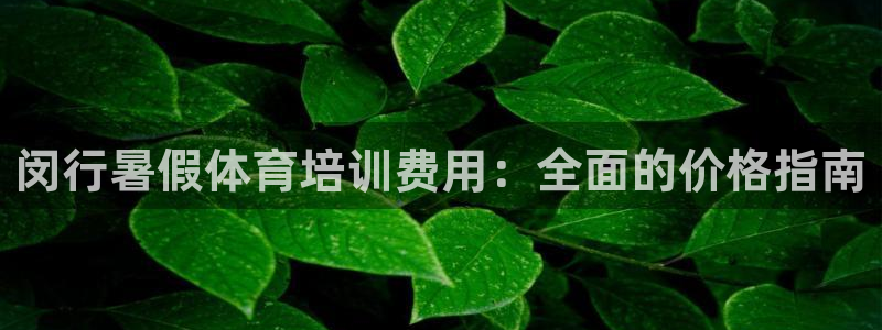 焦点娱乐传媒有限公司官网电话：闵行暑假体育培训费用：