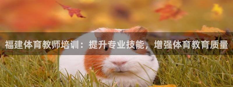 焦点娱乐软件版本区别：福建体育教师培训：提升专业技能，增强体