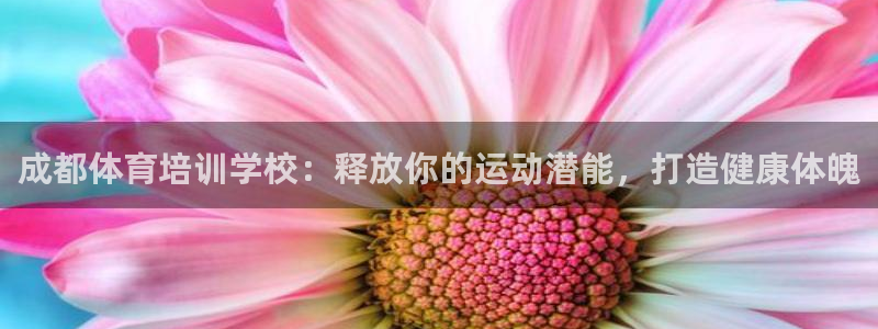 焦点娱乐怎么找导师：成都体育培训学校：释放你的运动潜能，打造