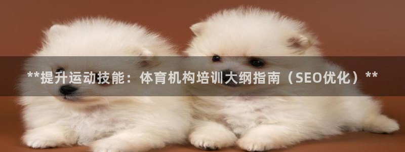 焦点娱乐是拉菲公司的吗知乎：**提升运动技能：体育机构培训大