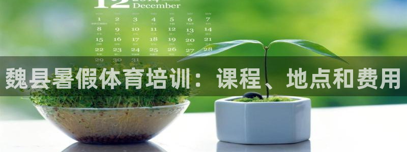 焦点娱乐传媒：魏县暑假体育培训：课程、地点和费用