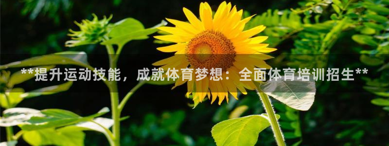 焦点娱乐平台注册账号怎么注销不了：**提升运动技能，