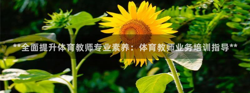 焦点娱乐皮皮虾视频