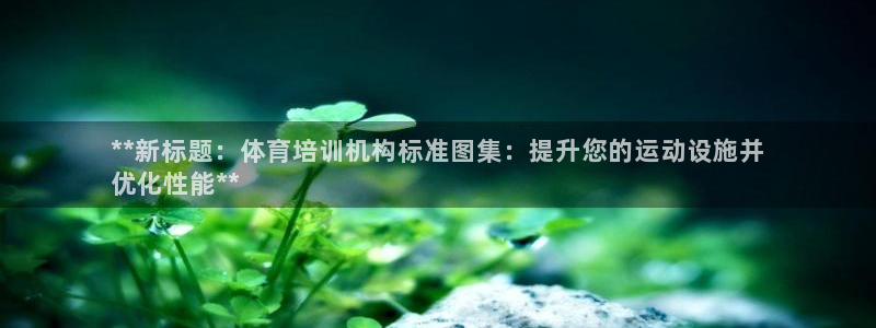 焦点娱乐待遇