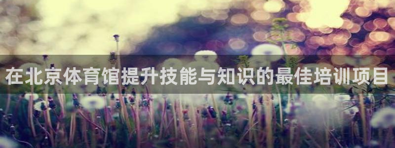 焦点娱乐招商注册 知乎：在北京体育馆提升技能与知识的