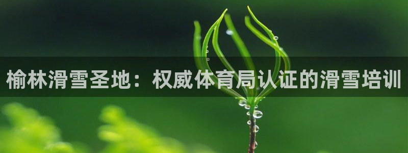 焦点娱乐vs皇族不败神话小说：榆林滑雪圣地：权威体育