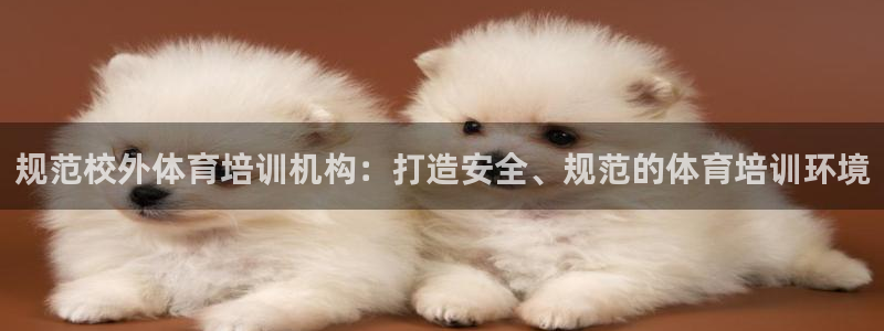 焦点娱乐平台是正规的吗：规范校外体育培训机构：打造安