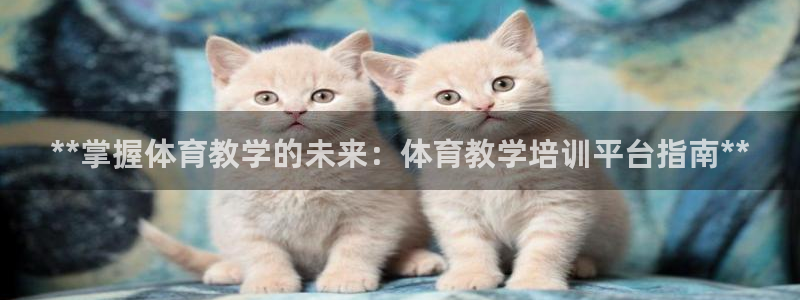 焦点娱乐传媒有限公司官网电话：**掌握体育教学的未来
