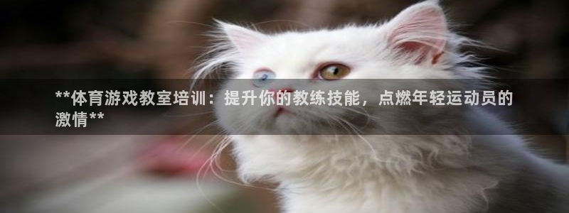 焦点娱乐官网首页下载：**体育游戏教室培训：提升你的