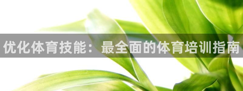 焦点娱乐有限公司怎么样：优化体育技能：最全面的体育培训指南