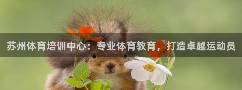 焦点娱乐app下载苹果版官网：苏州体育培训中心：专业