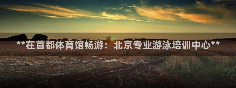 焦点娱乐平台业7O777：**在首都体育馆畅游：北京