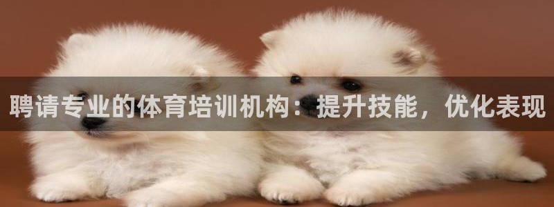 焦点娱乐app下载官网苹果手机：聘请专业的体育培训机