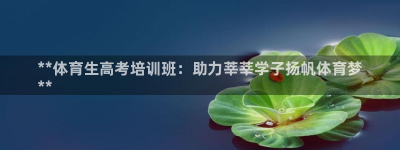 焦点娱乐传媒有限公司是干嘛的公司：**体育生高考培训班：助力