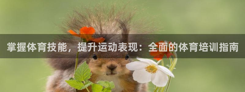 焦点娱乐传媒有限公司怎么样呀：掌握体育技能，提升运动