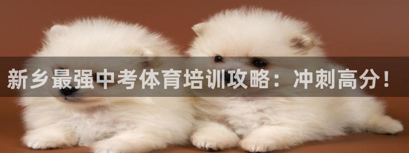 焦点娱乐全国总冠军有哪些：新乡最强中考体育培训攻略：