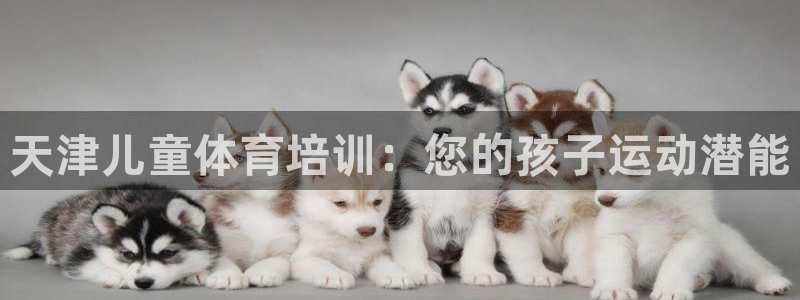 焦点娱乐官方网站入口下载手机版：天津儿童体育培训：您