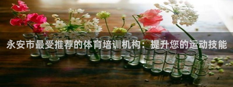 焦点娱乐传媒有限公司是干嘛的：永安市最受推荐的体育培