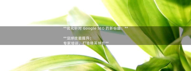 焦点娱乐下载手机版安装：**优化针对 Google 