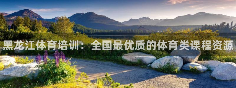 焦点娱乐官网下载安装