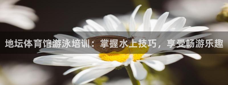 焦点娱乐官方网站首页入口下载：地坛体育馆游泳培训：掌握水上技