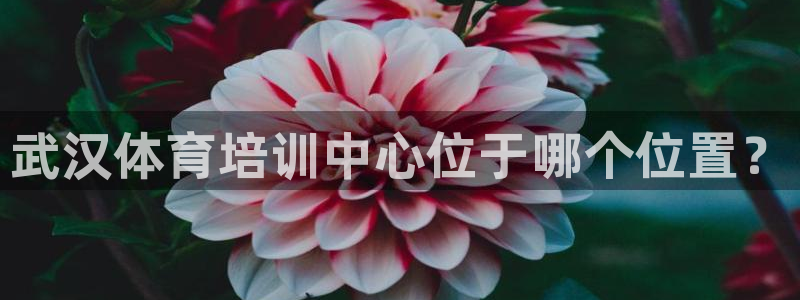 焦点娱乐官网首页入口网站