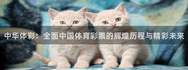 焦点娱乐无法提现