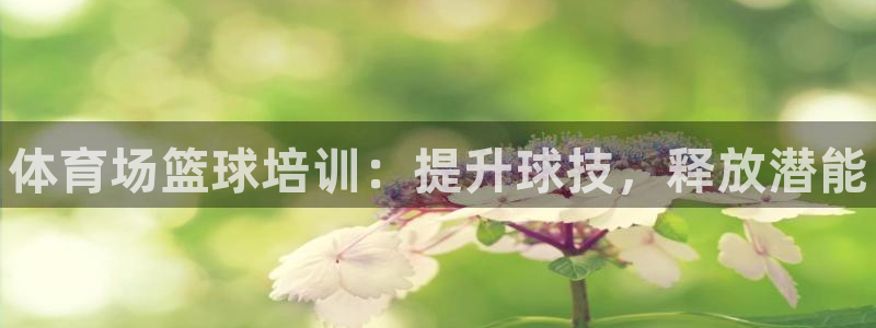 焦点娱乐简七O935最新版本更新内容：体育场篮球培训