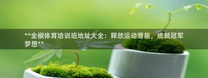焦点娱乐：**全椒体育培训班地址大全：释放运动潜能，