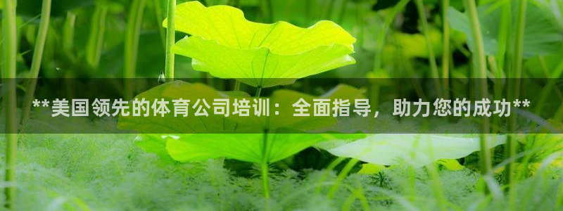 焦点娱乐公司：**美国领先的体育公司培训：全面指导，