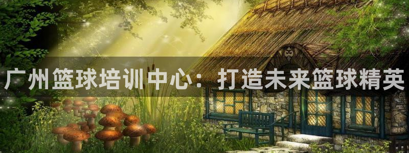 焦点娱乐如何注册账号和密码：广州篮球培训中心：打造未