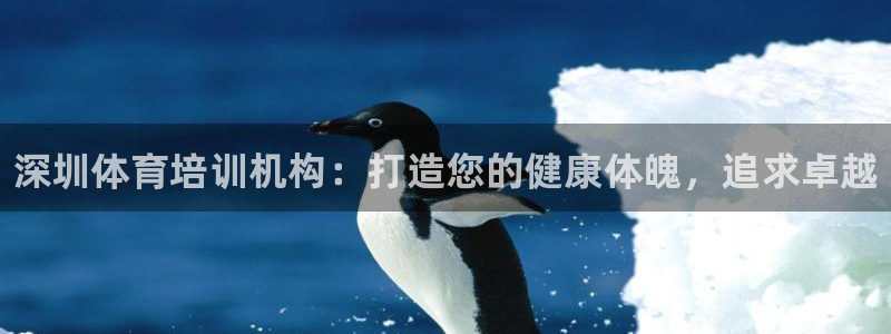 焦点娱乐传媒有限公司招聘信息：深圳体育培训机构：打造您的健康