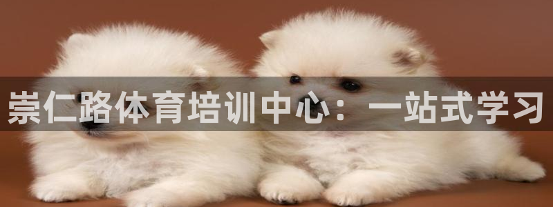 焦点娱乐传媒有限公司是干嘛的：崇仁路体育培训中心：一