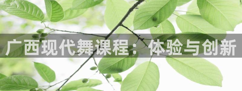 焦点娱乐平台注册账号是什么：广西现代舞课程：体验与创