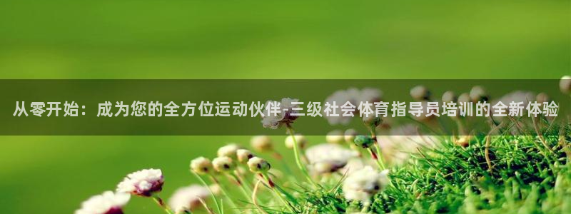 焦点娱乐官方网站入口在线观看下载：从零开始：成为您的