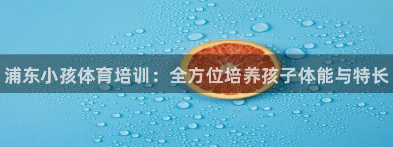 焦点娱乐官方网站下载安装最新版：浦东小孩体育培训：全