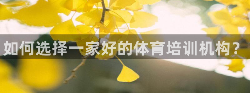 焦点娱乐说说怎么写：如何选择一家好的体育培训机构？