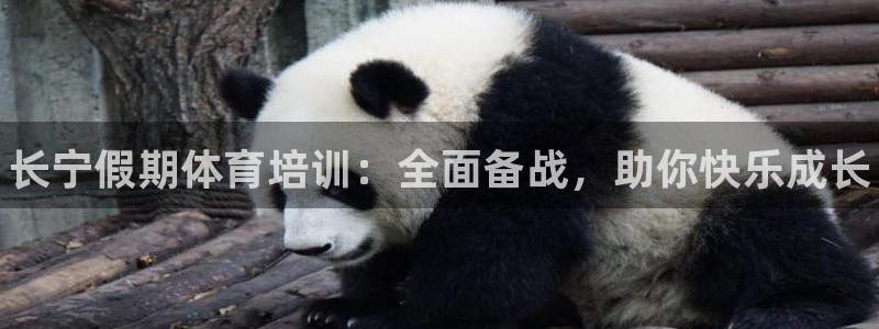 焦点娱乐平台最高待遇：长宁假期体育培训：全面备战，助你快乐成