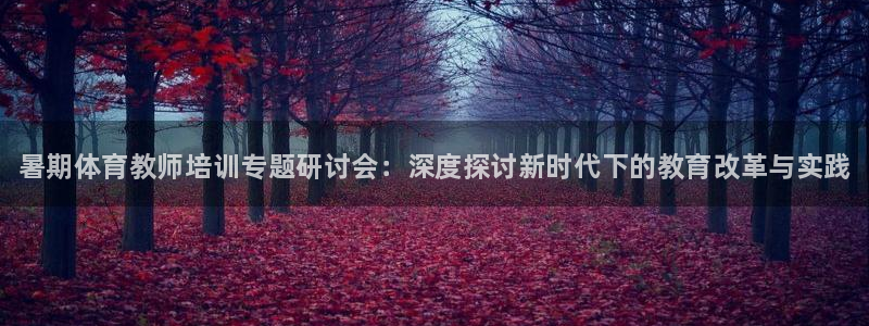 焦点娱乐星白鹿罗云熙在线磕cp：暑期体育教师培训专题